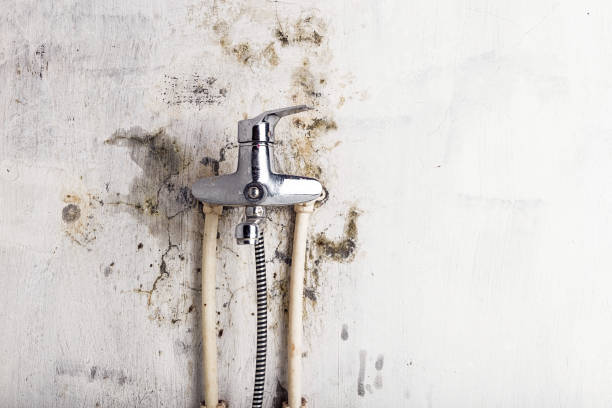 Best Mold Cleaning Services  in Bakersfield Country Clu, CA