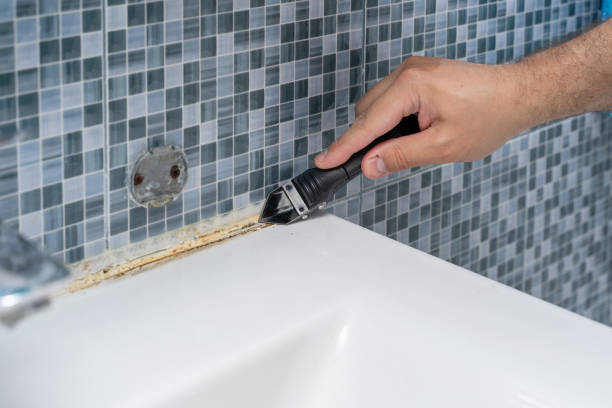 Best Home Mold Removal  in Bakersfield Country Clu, CA