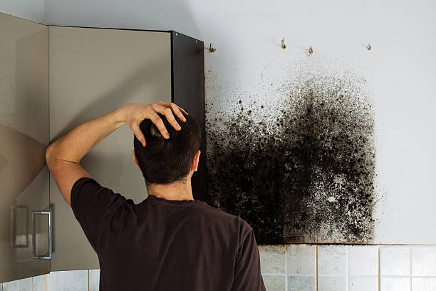 Best Residential Mold Removal  in Bakersfield Country Clu, CA